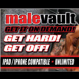 Male Vault