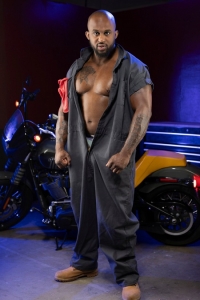 Terry Strokes Raging Stallion