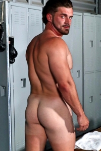 Troy Stallion The Bro Network