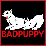 Badpuppy