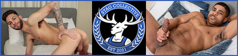 Stag Collective