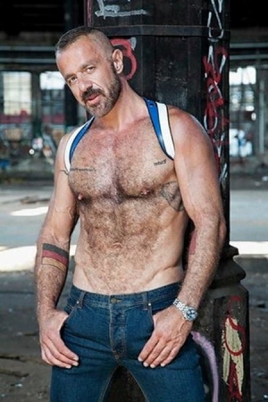 Felix Kamp Carnal Plus