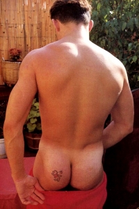 Cole Taylor AEBN