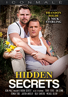 Hidden Secrets at AEBN